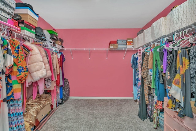 spacious closet featuring carpet floors