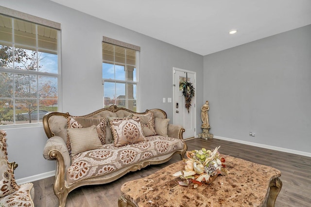 living area featuring dark wood-style floors, plenty of natural light, and baseboards