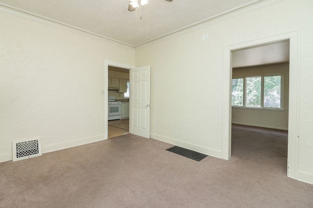 831 W Galena Blvd, Aurora, IL 60506 - empty room with crown molding, carpet floors, a ceiling fan, and a textured ceiling