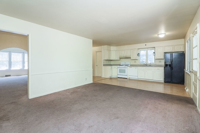 831 W Galena Blvd, Aurora, IL 60506 - unfurnished living room with light carpet