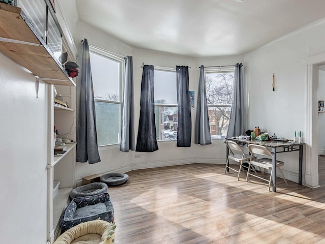 interior space with baseboards and wood finished floors