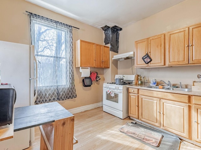 kitchen with light countertops, light brown cabinetry, a sink, under cabinet range hood, and white gas range oven