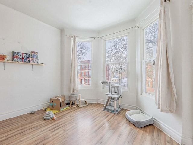 interior space with baseboards and wood finished floors