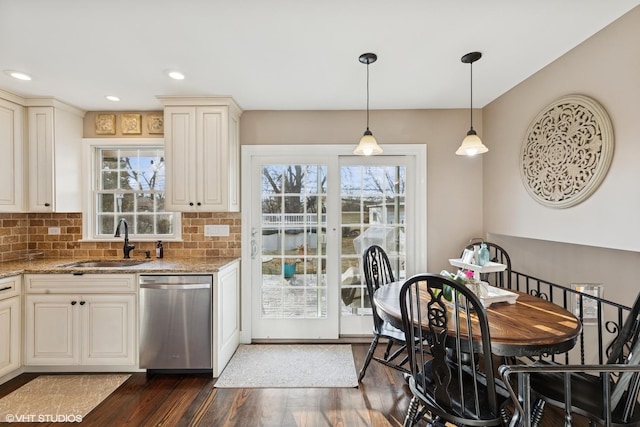 kitchen with plenty of natural light, dark wood-style flooring, a sink, and stainless steel dishwasher