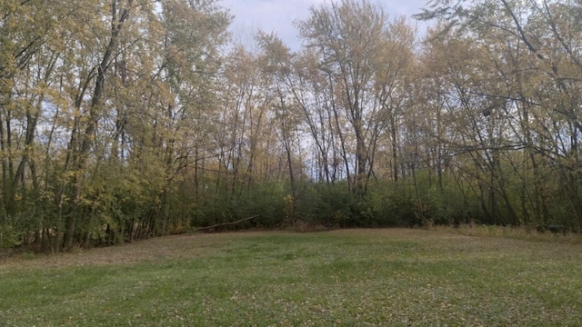 view of yard with a wooded view