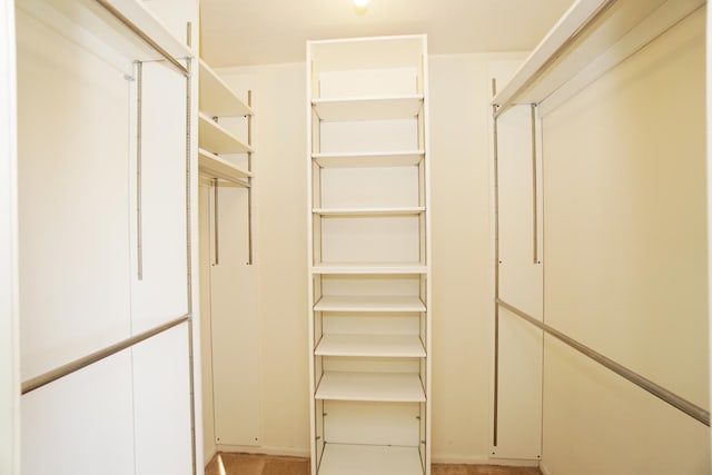 view of walk in closet