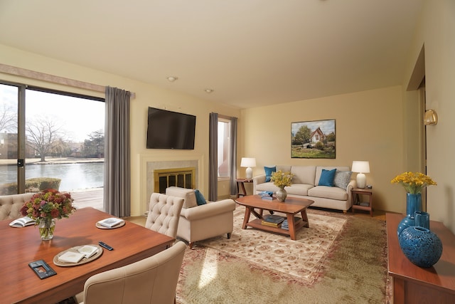 living area featuring a glass covered fireplace