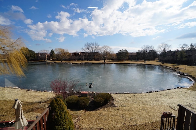 view of water feature