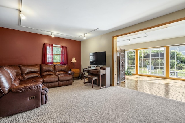 carpeted living room featuring tile patterned floors, rail lighting, and a healthy amount of sunlight