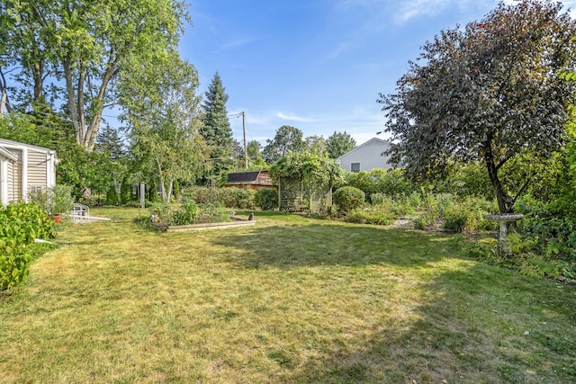 view of yard with a vegetable garden