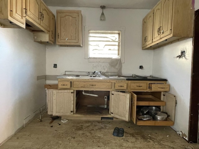 7310 S Kingston Ave, Chicago, IL 60649 - kitchen featuring a sink
