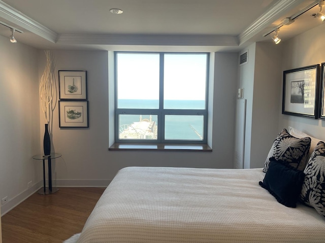 474 N Lake Shore Dr Unit 4810, Chicago, IL 60611 - bedroom with baseboards, crown molding, wood finished floors, and track lighting