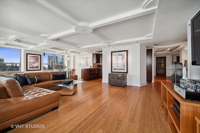 474 N Lake Shore Dr Unit 4810, Chicago, IL 60611 - living area featuring coffered ceiling, beam ceiling, light wood finished floors, baseboards, and track lighting