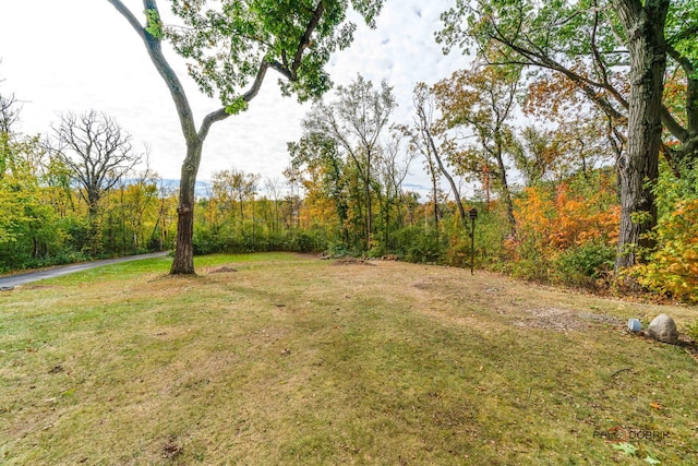 view of yard featuring a wooded view