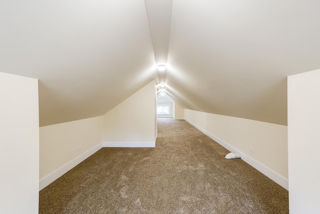 additional living space with carpet, baseboards, and vaulted ceiling