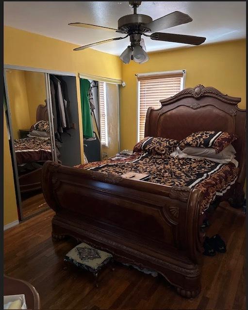 bedroom featuring multiple closets, a ceiling fan, and dark wood-style flooring