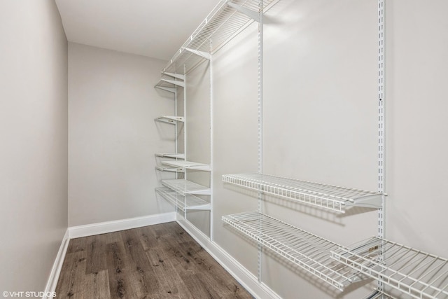 spacious closet featuring wood finished floors