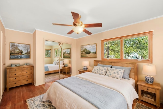 bedroom featuring ceiling fan, a closet, wood finished floors, and crown molding