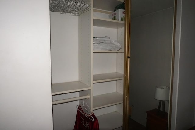 view of closet