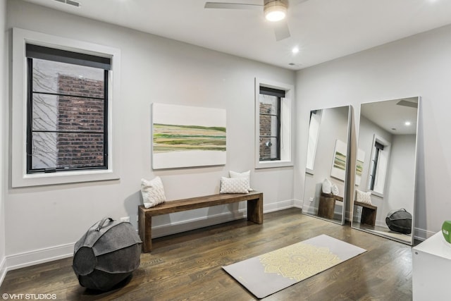 workout area featuring a ceiling fan, plenty of natural light, baseboards, and wood finished floors