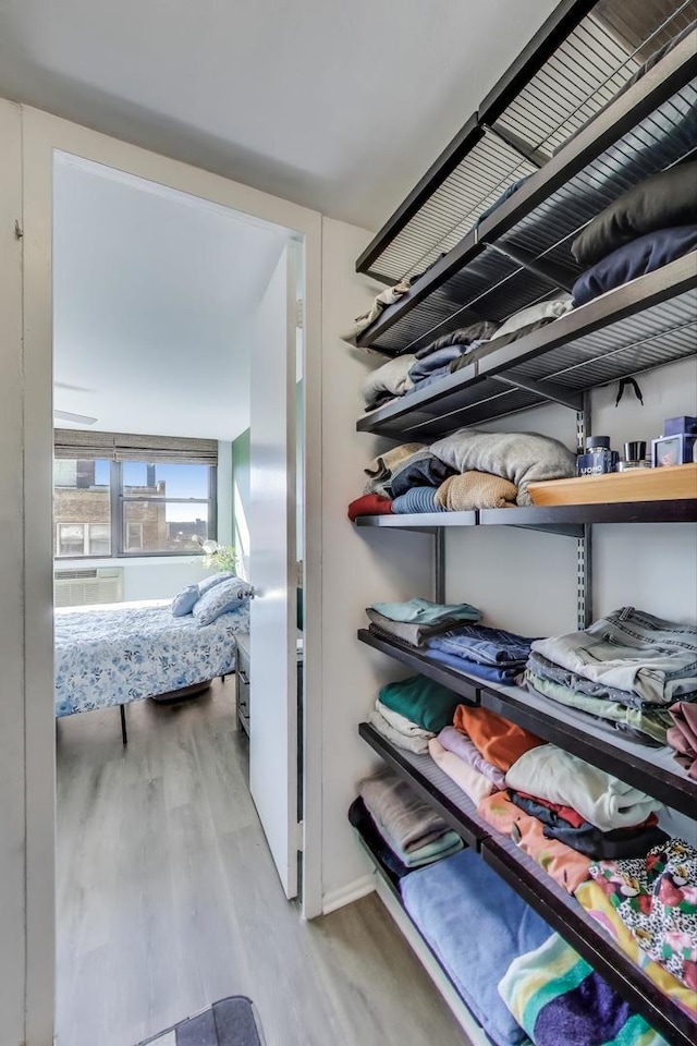 walk in closet with wood finished floors