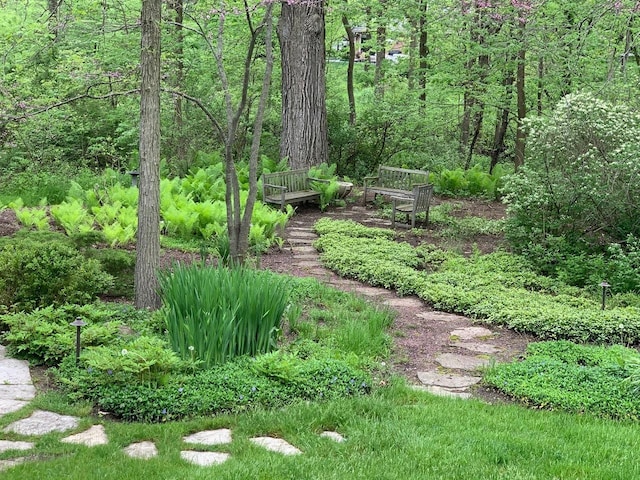 view of yard with a forest view