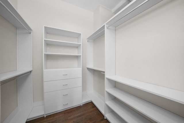 walk in closet with dark wood-type flooring