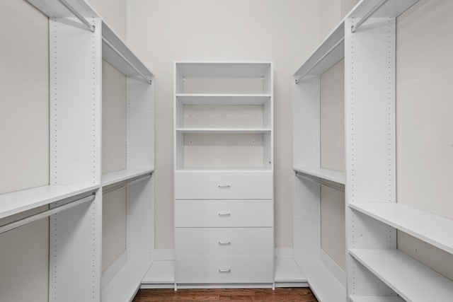 spacious closet with dark wood-style flooring