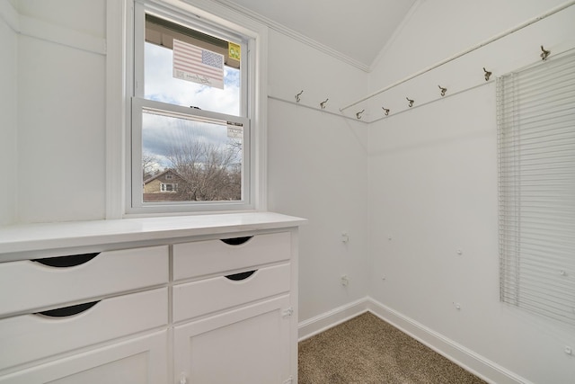 interior space with vaulted ceiling and carpet floors