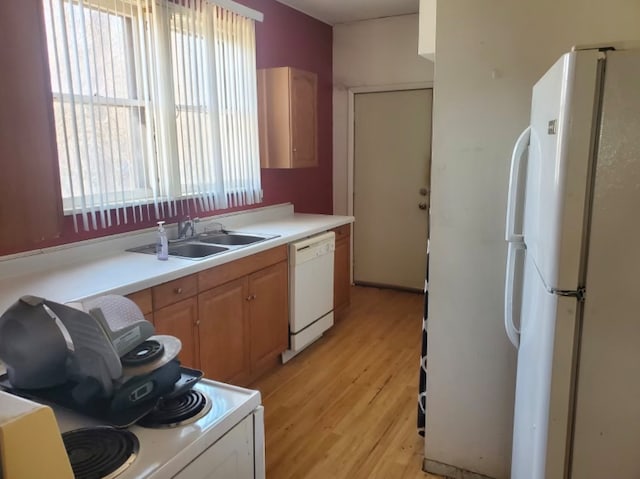 kitchen with white appliances, light countertops, light wood finished floors, and a sink