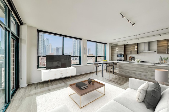 living area featuring rail lighting, baseboards, and light wood finished floors