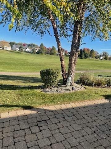 view of home's community with a lawn