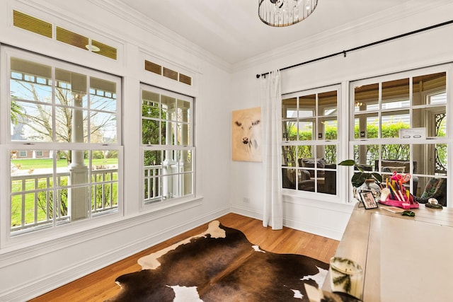entryway featuring baseboards, wood finished floors, and a healthy amount of sunlight