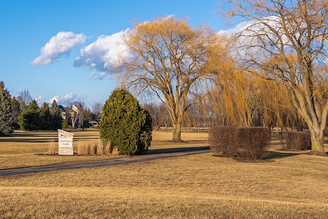view of home's community with a lawn and driveway