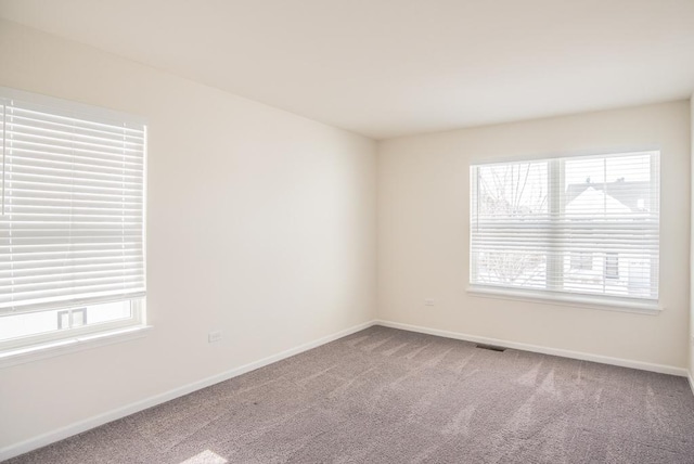 3718 Tramore Ct, Naperville, IL 60564 - carpeted spare room with visible vents, plenty of natural light, and baseboards