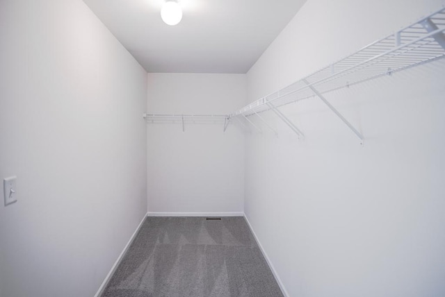3718 Tramore Ct, Naperville, IL 60564 - spacious closet featuring carpet floors