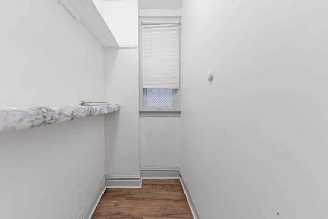 spacious closet featuring wood finished floors