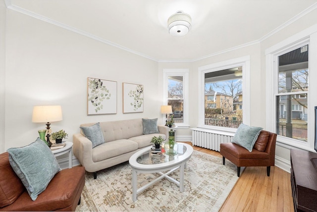 living room featuring radiator, crown molding, baseboards, and wood-type flooring