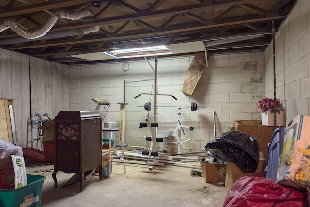 unfinished basement featuring concrete block wall