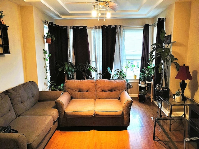 living room with ceiling fan, wood finished floors, and a raised ceiling