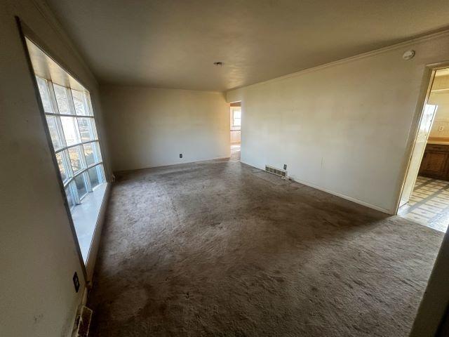 empty room with ornamental molding, visible vents, and carpet flooring