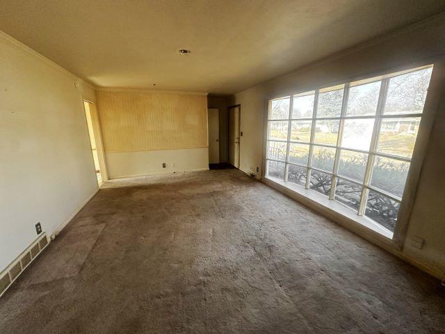 unfurnished room featuring carpet floors