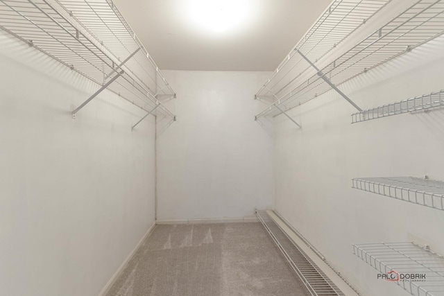 spacious closet featuring light carpet