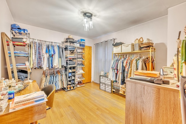 spacious closet featuring wood finished floors