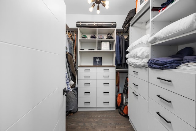 spacious closet featuring dark wood-style flooring