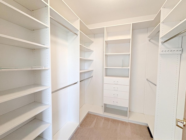 walk in closet featuring carpet flooring