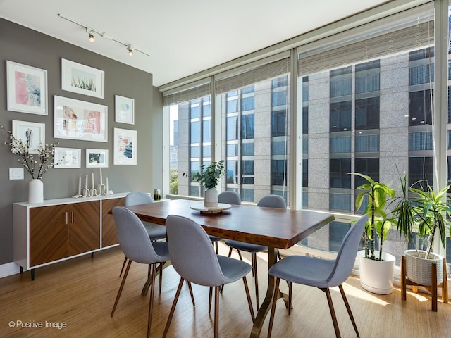 dining space featuring rail lighting, floor to ceiling windows, and wood finished floors