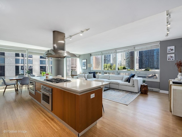 kitchen with a healthy amount of sunlight, light wood-style flooring, island exhaust hood, and appliances with stainless steel finishes