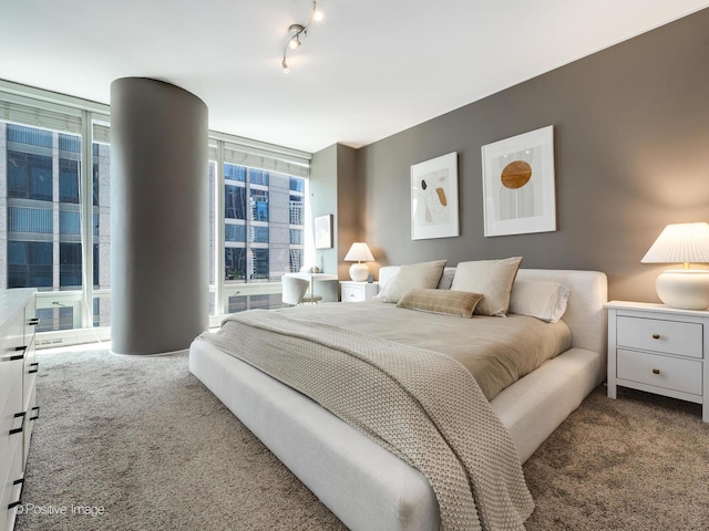 carpeted bedroom with expansive windows and rail lighting