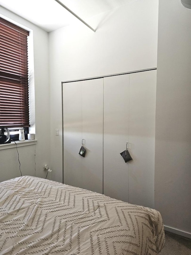 bedroom with carpet and a closet